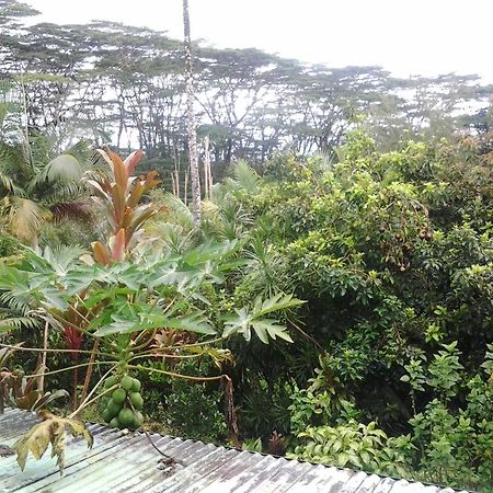 Lava Tree Tropic Inn Pahoa Εξωτερικό φωτογραφία