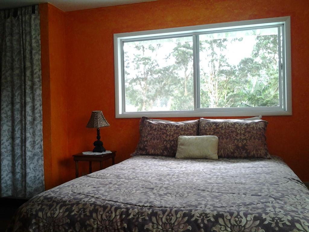 Lava Tree Tropic Inn Pahoa Δωμάτιο φωτογραφία