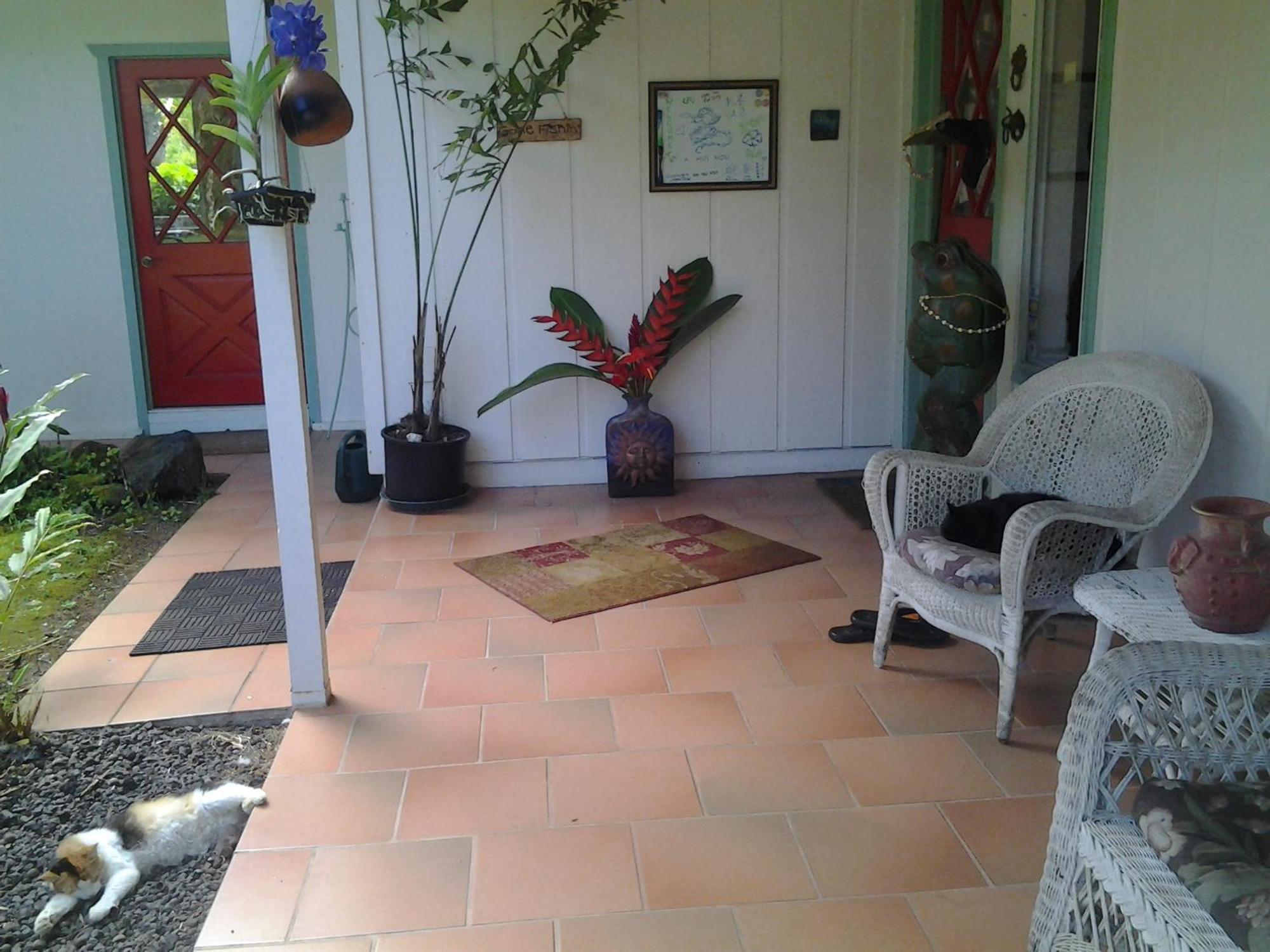 Lava Tree Tropic Inn Pahoa Εξωτερικό φωτογραφία