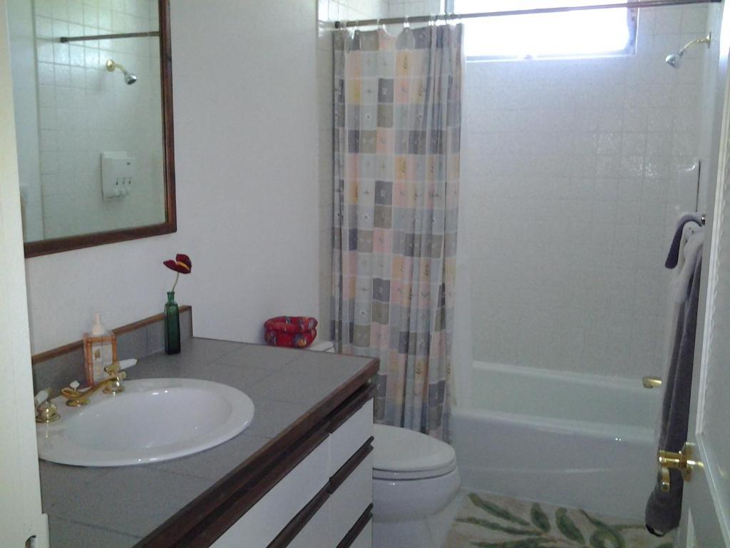 Lava Tree Tropic Inn Pahoa Δωμάτιο φωτογραφία