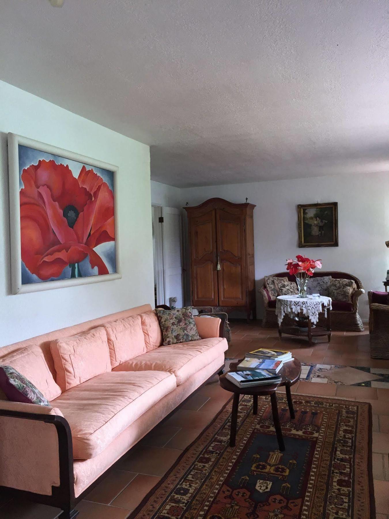 Lava Tree Tropic Inn Pahoa Εξωτερικό φωτογραφία